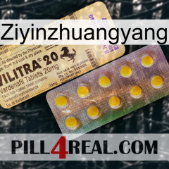 Ziyinzhuangyang new06